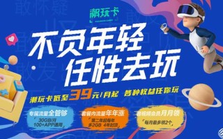 动感地带潮玩卡定向流量范围